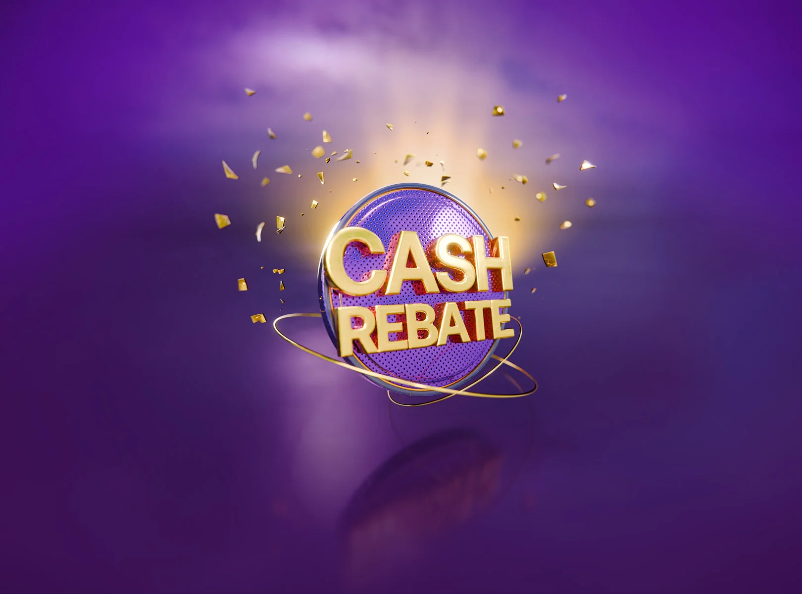 Cash Rebate